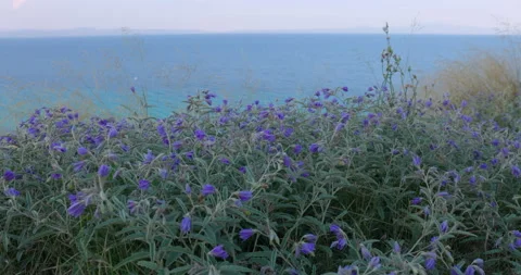 Sea view Afitos Stock Footage 214670901