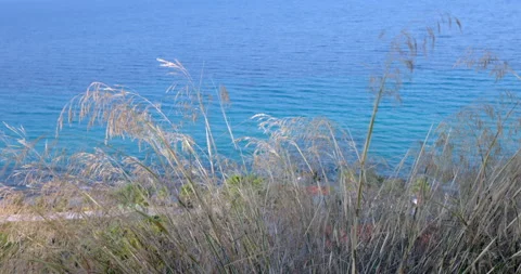 Sea view Afitos Stockbeeldmateriaal 214672027