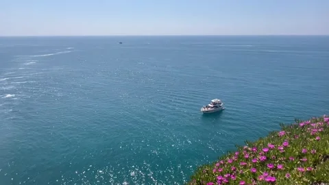 Sea view with a boat by spring with coastal flowers Stock Footage 337127495