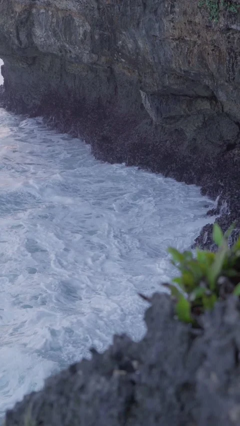Sea view from the cliff 動画素材 341092141