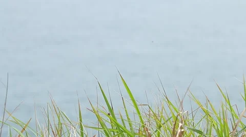 Sea view from the coast. Stock Footage 49319949