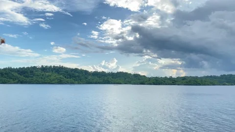 Sea view Stock Footage 236043811