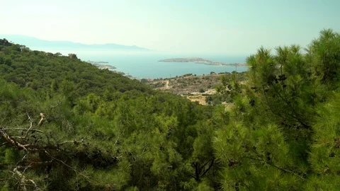 Sea view from the forest 動画素材 127476134