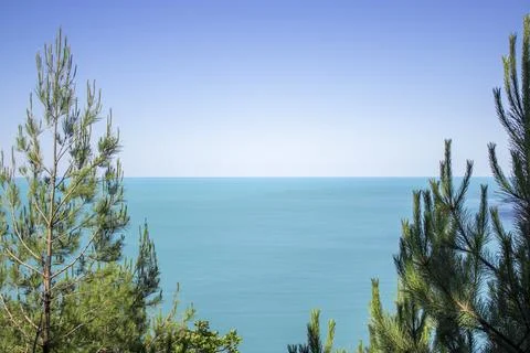 Sea view from the forest Stock Photos