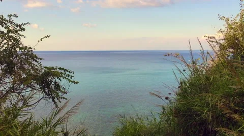 Sea view with grass at dusk Stock Footage 67891695