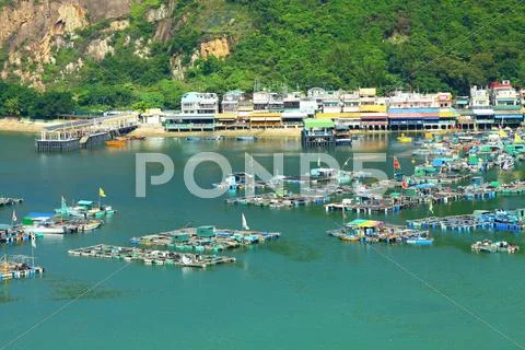 Sea view in Hong Kong from hill top Stock Photos