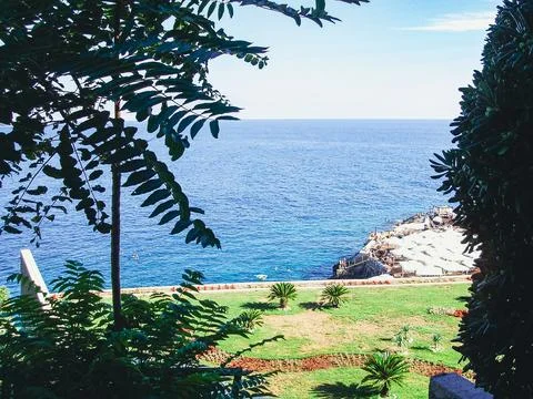 Sea View from a Park Photos