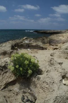 Sea view Stock-Fotos