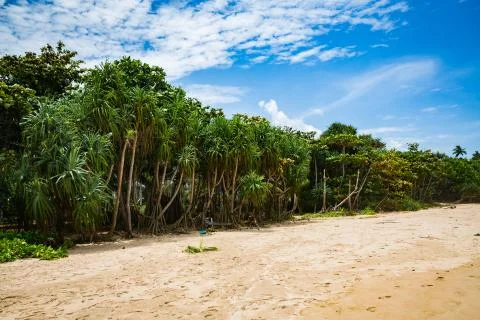 Sea view Foto stock