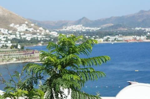 Sea view Stock Photos