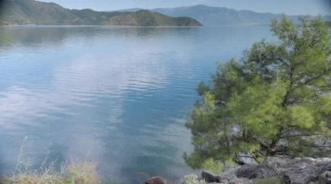 Sea view with pine trees, green hills, islands and clouds reflection in the Stock Footage 60116457