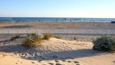 Sea ​​view from the sand dunes Stock Footage 93461058
