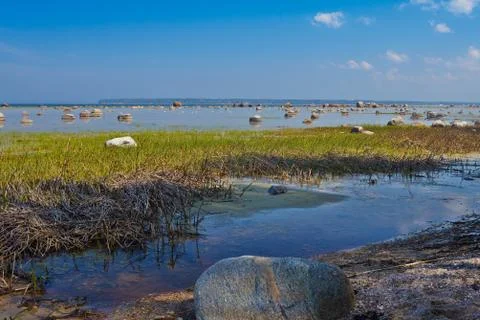Sea view in the spring Stock Photos