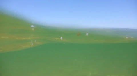 Sea view from a swimmers perspective Video stock 50960116