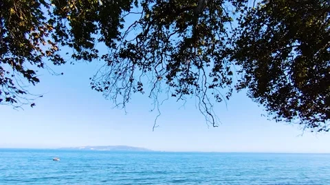 Sea View Through Green Tree Branches - Sunny Coastal Landscape Video stock 332180678
