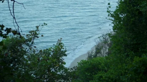Sea view through the greenery. The waves wash up on the sandy beach. Stock Footage 315179124