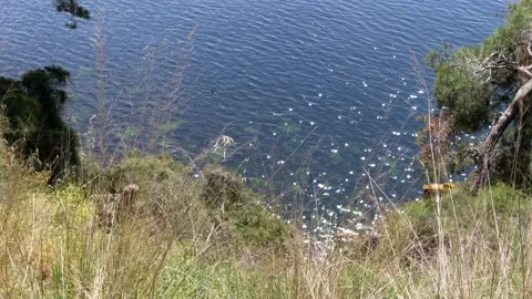 Sea view through the straw 스톡 동영상 188827468