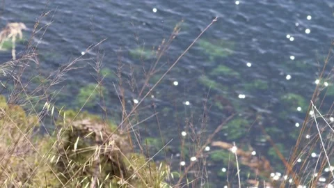 Sea view through the straw 스톡 동영상 188847301