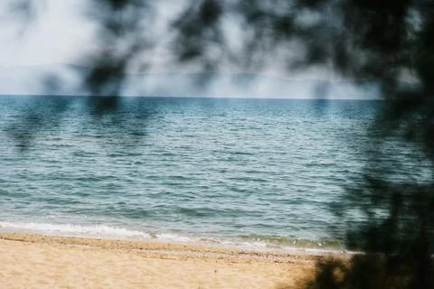 Sea View Through Trees on Sunny Day Coastal Landscape Stock Photos