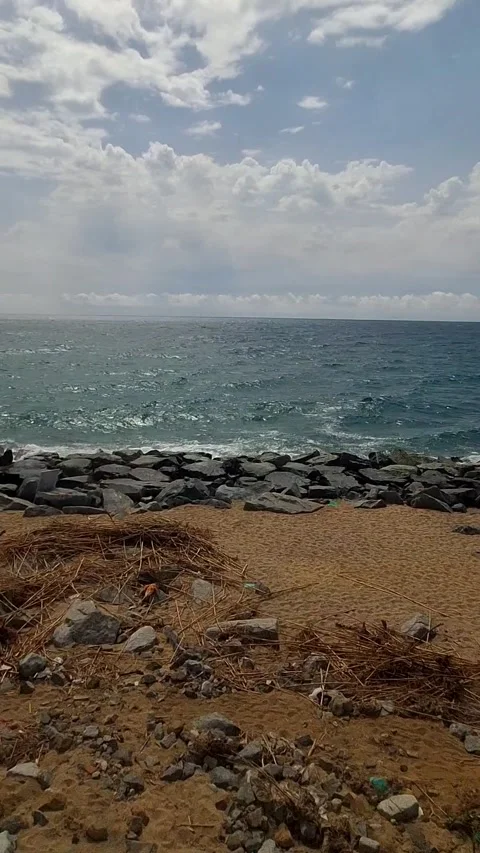Sea view from the train window Video stock 336693134