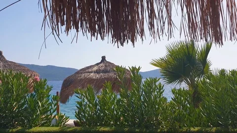 Sea view under palm leaf parasol in summer in a windy day Stock Footage 115523880