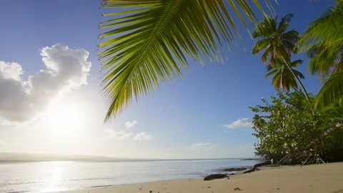 Sea view from under the palm tree. Stock Footage 169208073