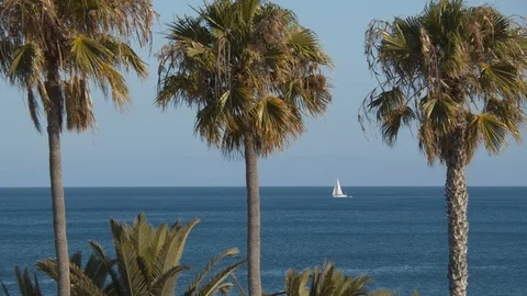 A sea view with a white sail Stock Footage 115080791