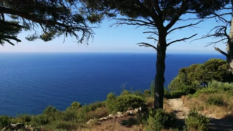 Sea views at the end of the path Stock Footage 161543622