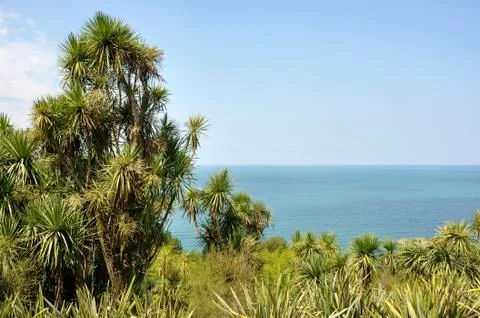 Sea views Stock Photos