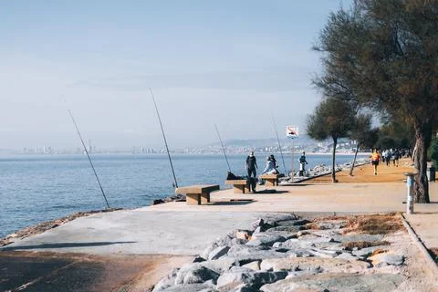 Sea walk 写真素材