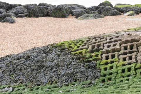 Sea wall uncovered Foto stock