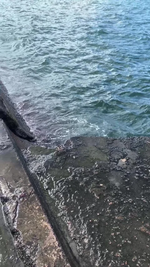 The sea washes over the pier. Vertical video Stock Footage 286724092