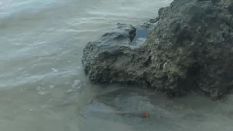 Sea ​​water (3) Stock-Footage 276693526