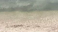 Sea Water And Sand At The Beach HD Footage