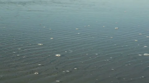 Sea water background Video stock 49228429