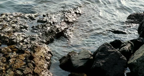 Sea water on the beach reflected in the sunlight. Stock Footage 178944472