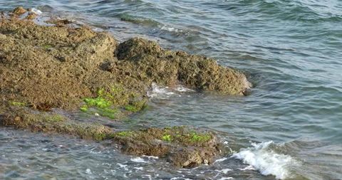 Sea water on the beach reflected in sunlight viewed from afar. Stock Footage 178944540