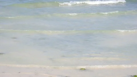 Sea water current on the edge of the beach Stock Footage 114591357
