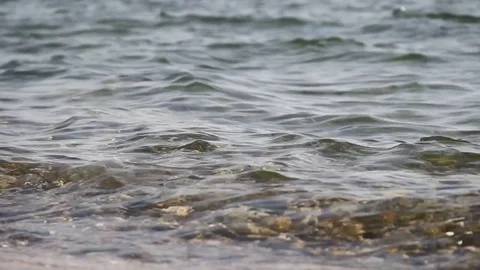 Sea water Stock Footage 77917134