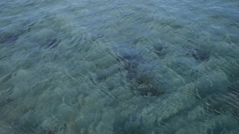Sea water Stock Footage 94908321