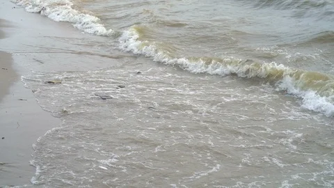 Sea water Stock Footage 96500422