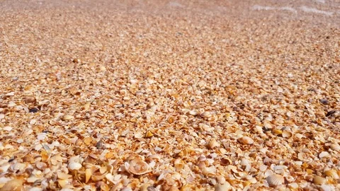 Sea water lapping onto beach from seashells of golden color, close-up Stock Footage 91933816