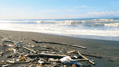 Sea Water Pollution. Polluted Ocean  Shore Stock Footage 127730948