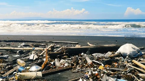 Sea Water Pollution. Polluted Ocean  Shore Stock Footage 127730997