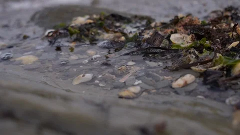 Sea water returning Stock Footage 91775038