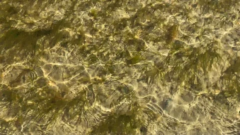 Sea water ripples on its surface at the beach Stock Footage 94215465