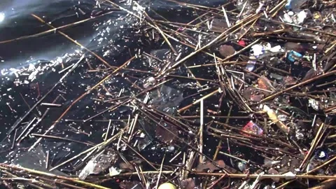 Sea water surface with some pollution and contamination, plastic bottle, garbage Stock Footage 240665221