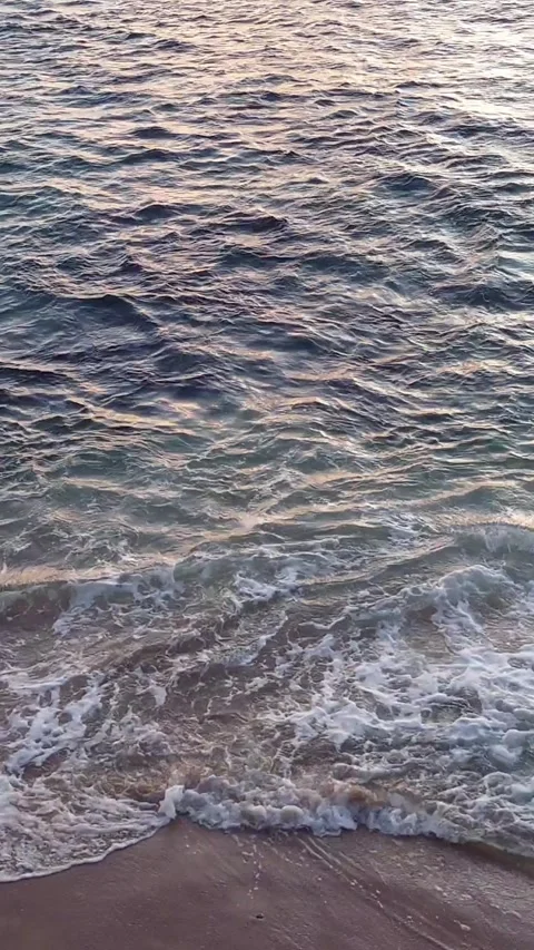 Sea water surface view at sunset Stock Footage 296664091