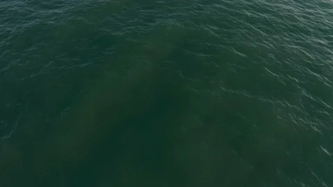 Sea water view from a drone Stock Footage 219937386