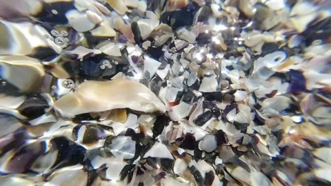 Sea water washes over the colored shells on the seashore. Close-up. Vacatio.. Stock Footage 270823788